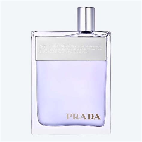 prada amber pour homme basenotes|prada amber pour homme men.